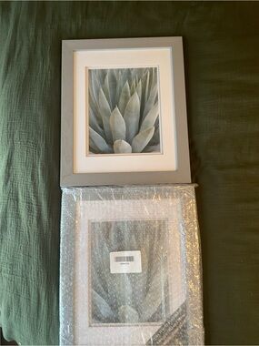 Framed 13”x16” Cacrus Neutral Gray Agave Wall Art Print - Home Art Prints